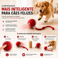 Caza Bola