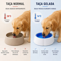 Cuenco Fresquito