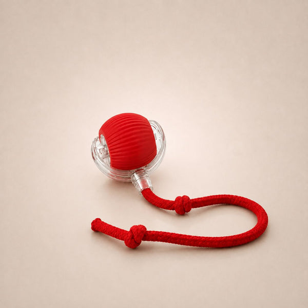 Caza Bola
