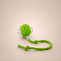 Caza Bola