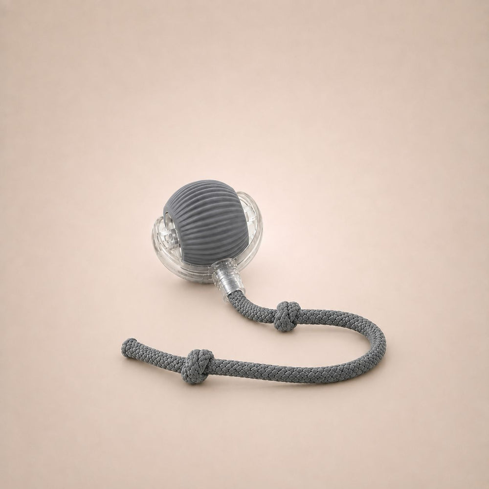 Caza Bola