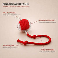 Caza Bola